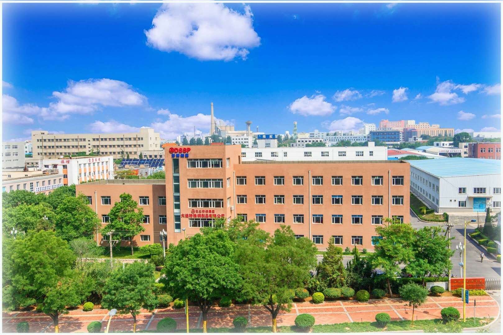 Dalian Special Steel Products Co., Ltd. Of Dongbei Special Steel Group Logo