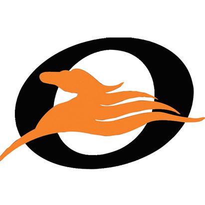 Vanjoin Group Logo