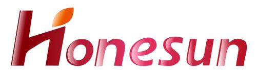 Hangzhou Honesun Magnet Co., Ltd. Logo