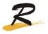 Danyang River Optical Co., Ltd. Logo