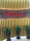 Wenzhou Higo Optical Co., Ltd. Logo