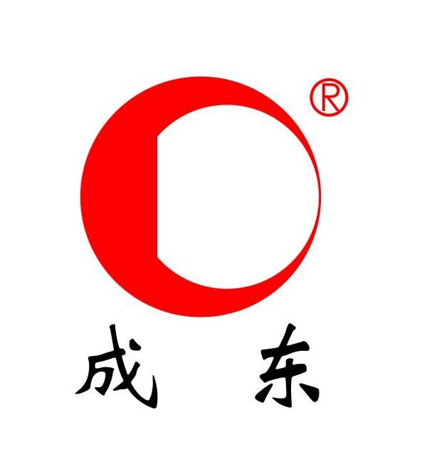 Shanghai Chengdong Technology Co., Ltd. Logo