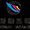 Zhejiang Borun Printing Technology Co., Ltd. Logo