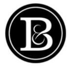 Dongguan Baorui Bag Co., Ltd. Logo