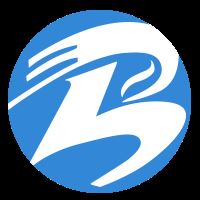 Shenzhen Bolinia Technology Co., Ltd. Logo
