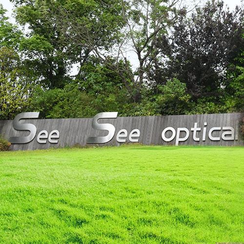 Danyang Seesee Optical Co., Ltd. Logo