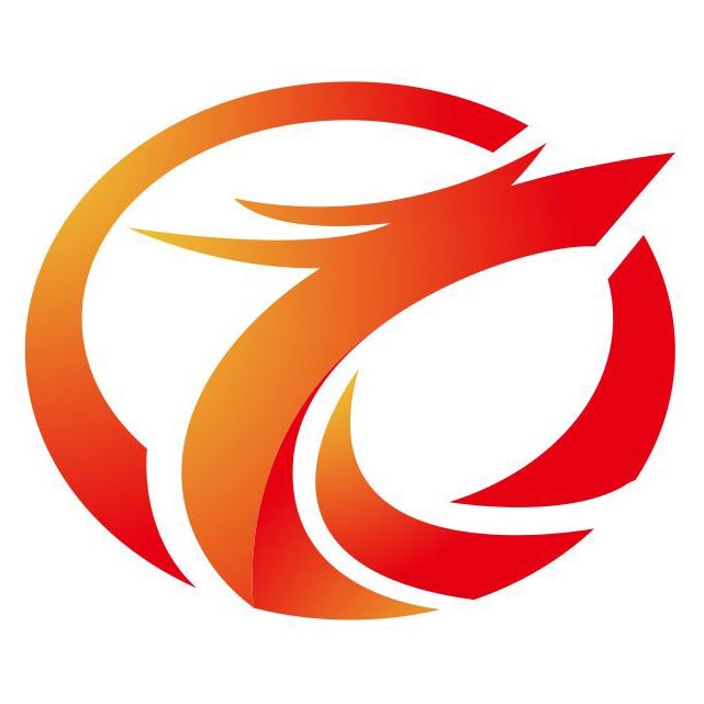 Haining Xulong Lighting Co., Ltd. Logo