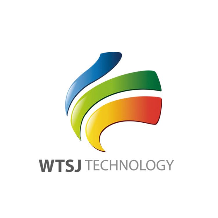 Shenzhen Weite Shijia Technology Co., Ltd. Logo