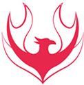 Shenzhen Phenix Sportswear Co., Ltd. Logo