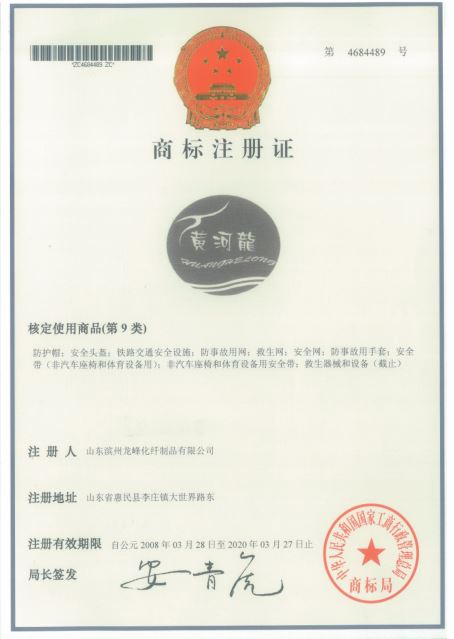 Shandong Binzhou Longfeng Chemical Fabric Products Ltd Company Logo