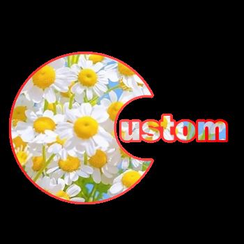 Zhongshan Yst Crafts Co., Ltd. Logo