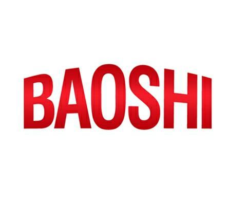 Yongkang Baoshi Industry And Trade Co., Ltd Logo