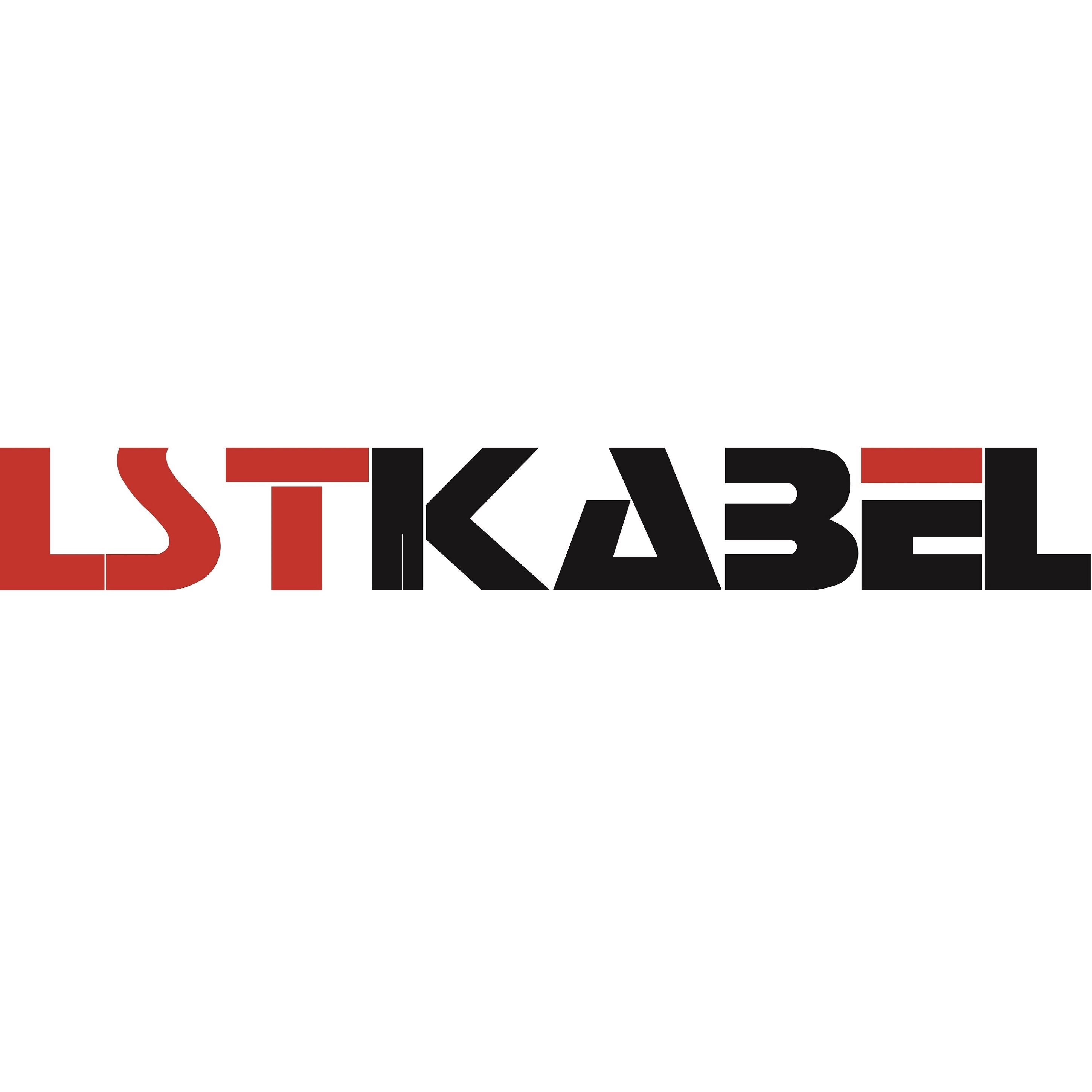 Shanghai Lansheng Special Cable Limited Company Logo