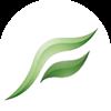 Chongqing Foreseen Optics Instrument Co., Ltd. Logo