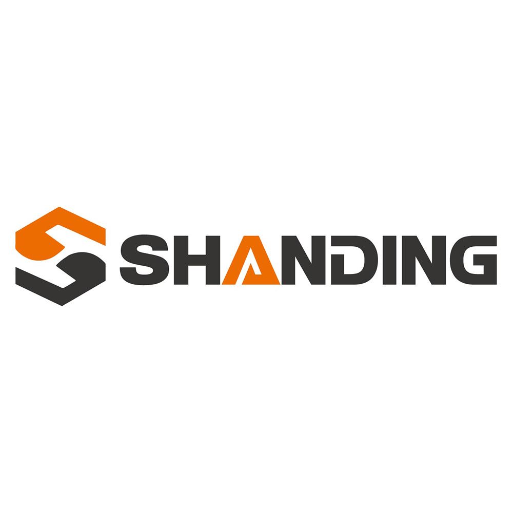 Shandong Dingyuan Machinery Co., Ltd. Logo