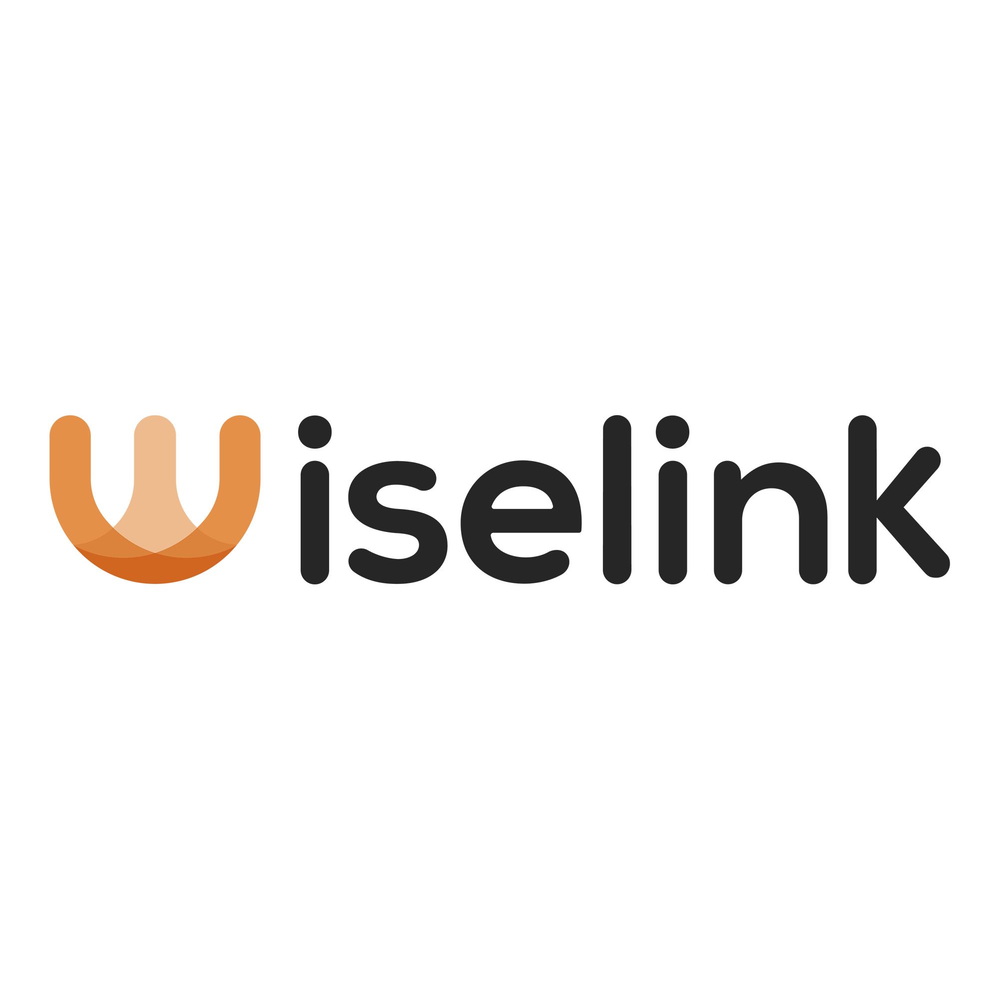 Guangdong Wiselink Ltd. Logo