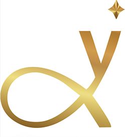 Yangjiang Xingyang Industry & Trade Co., Ltd. Logo