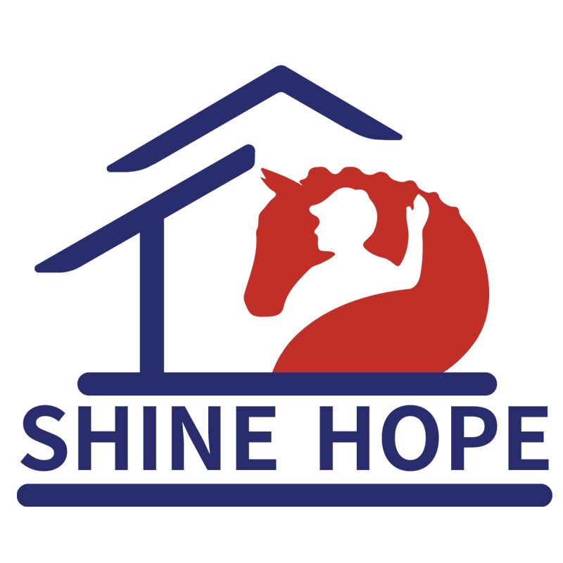 Qingdao Shinehope Technology Co., Ltd. Logo