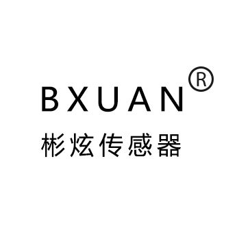 Yueqing Bxuan Electrical Co., Ltd. Logo