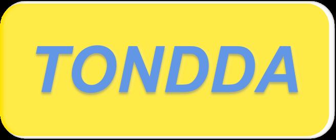 Huizhou Tongda Plastic Mold Co., Ltd. Logo