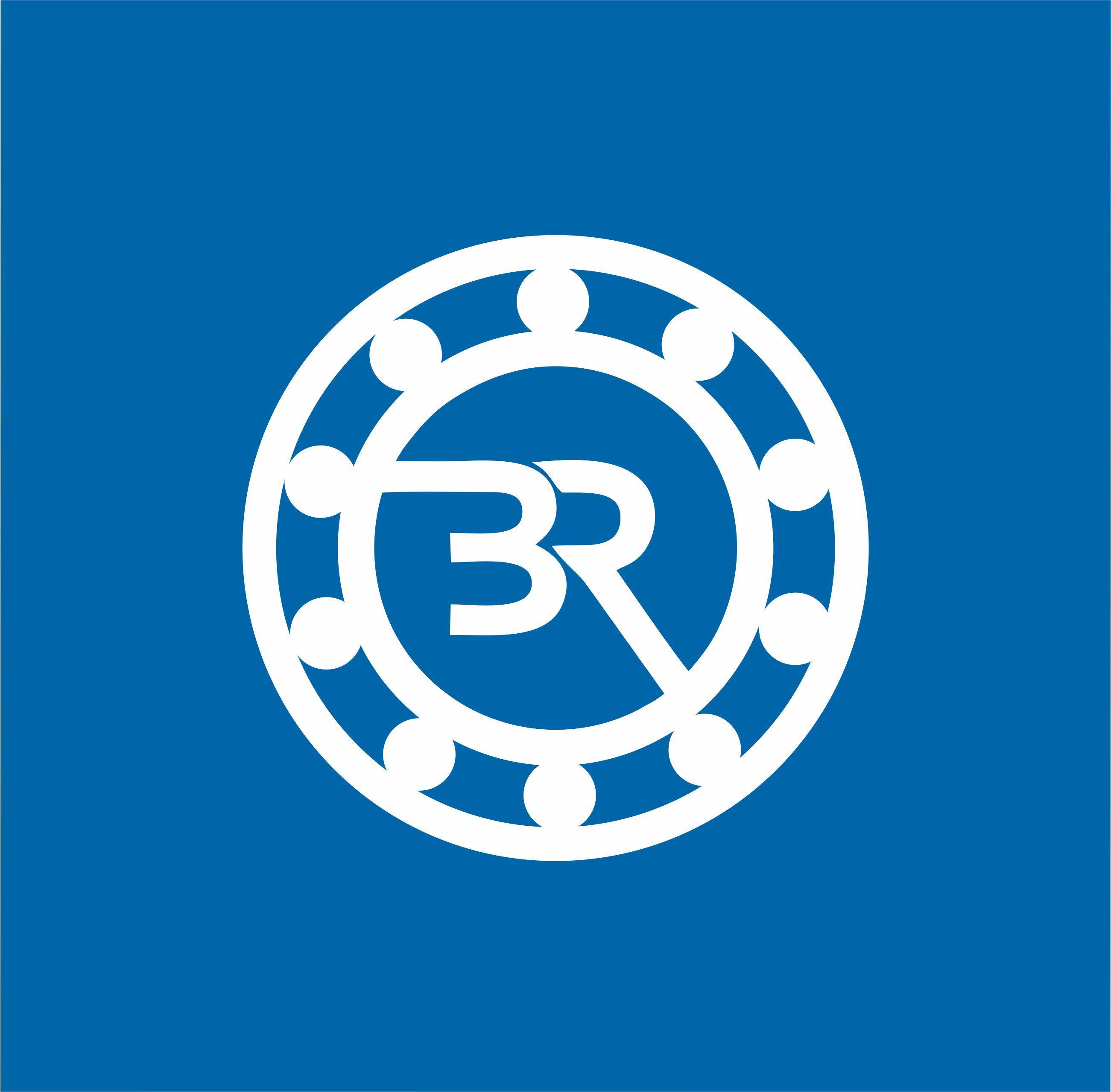 Shandong Bearing Machinery Technology Co., Ltd. Logo