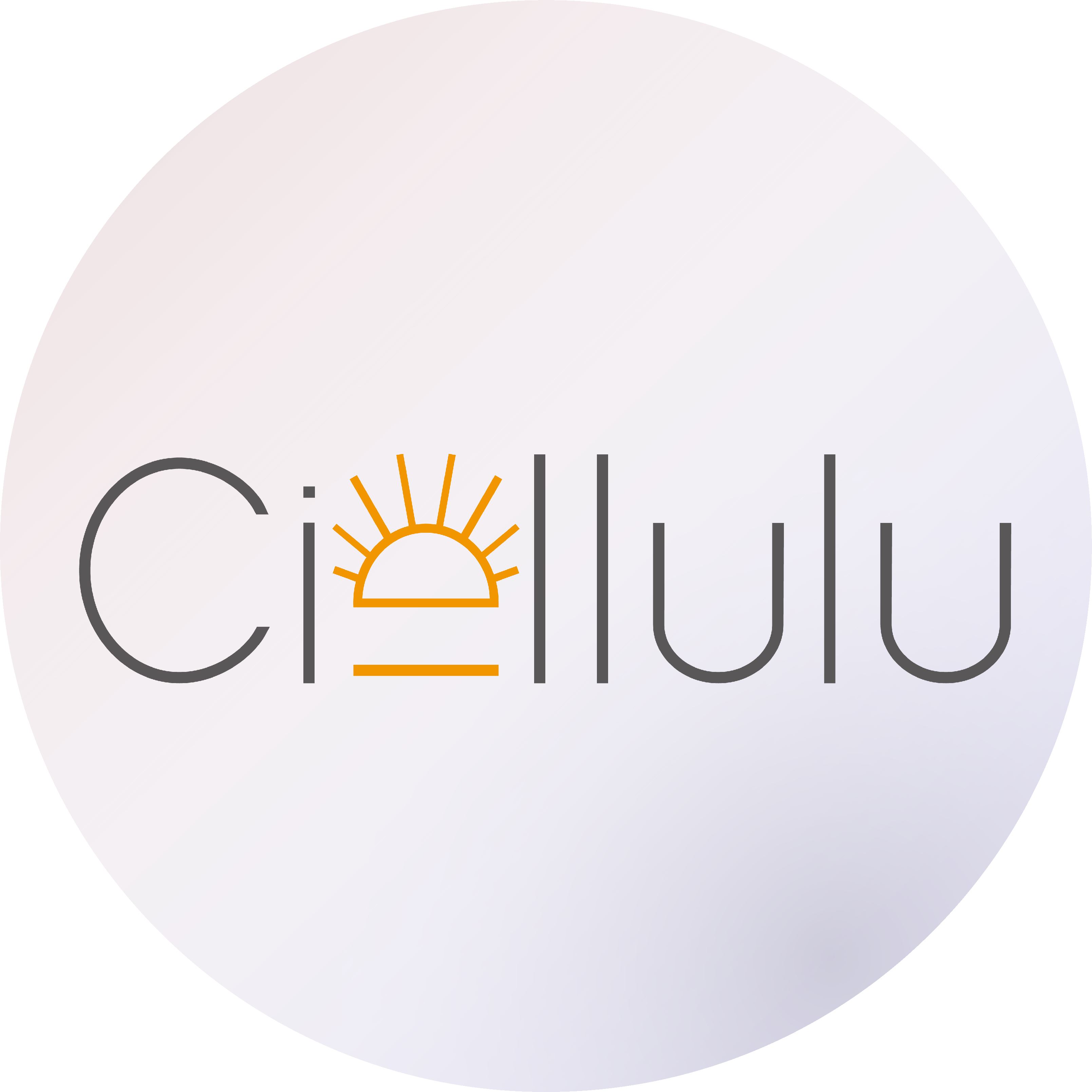 Guangzhou Ciellulu Photoelectric Technology Co., Ltd. Logo
