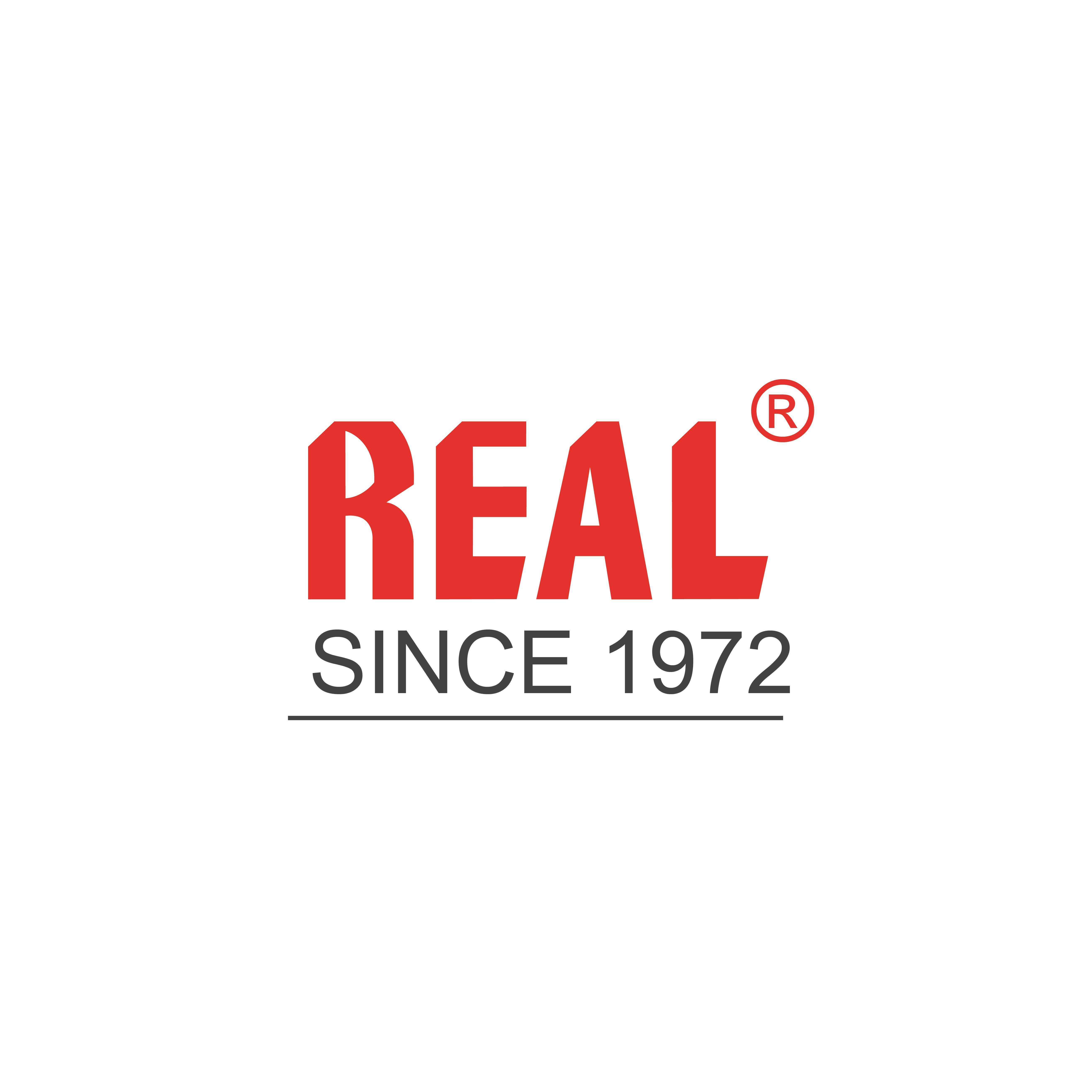 REAL LOCKS & SECURITY CO., LTD. Logo