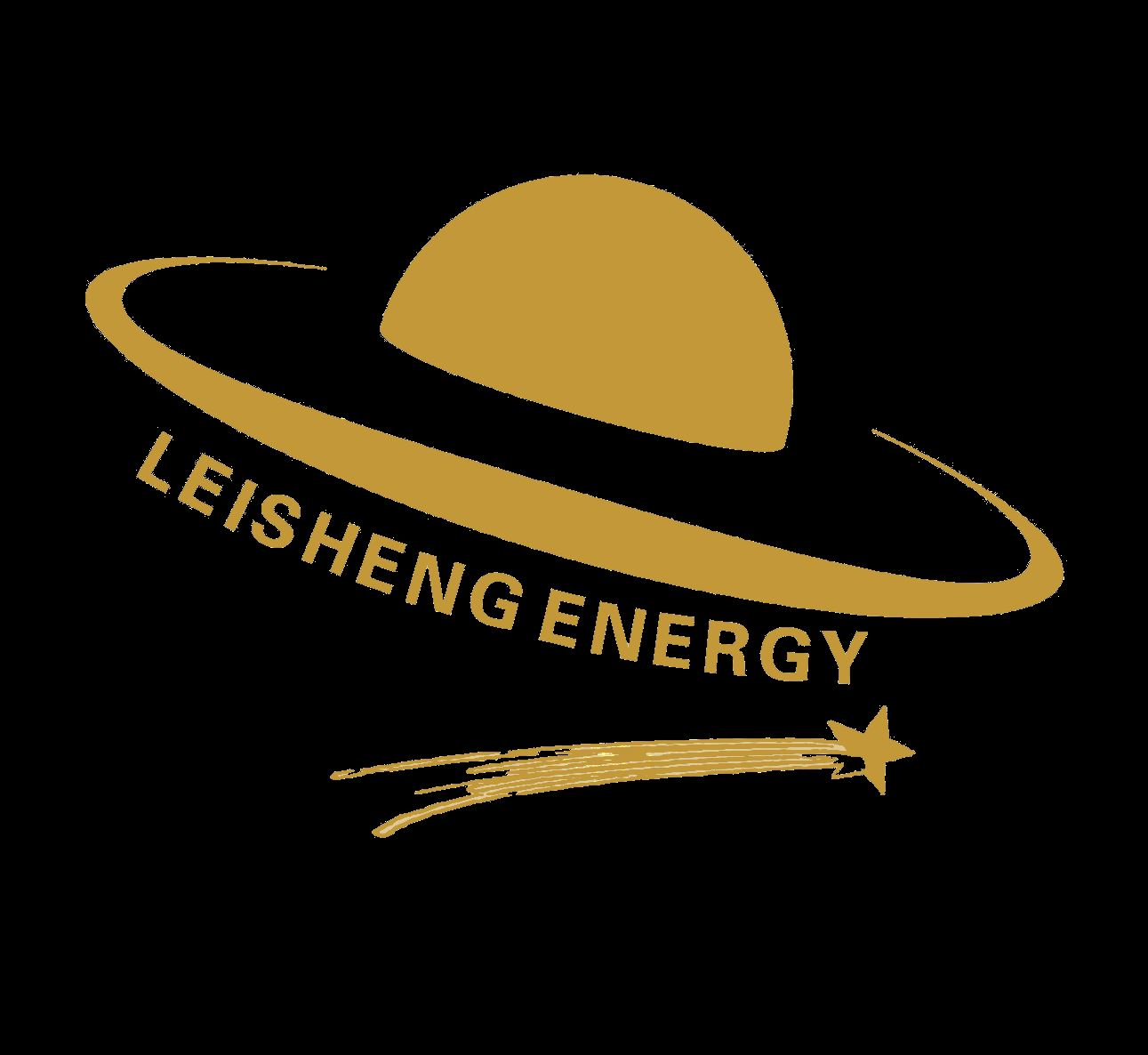 Fujian Leisheng Energy Technology Co., Ltd. Logo