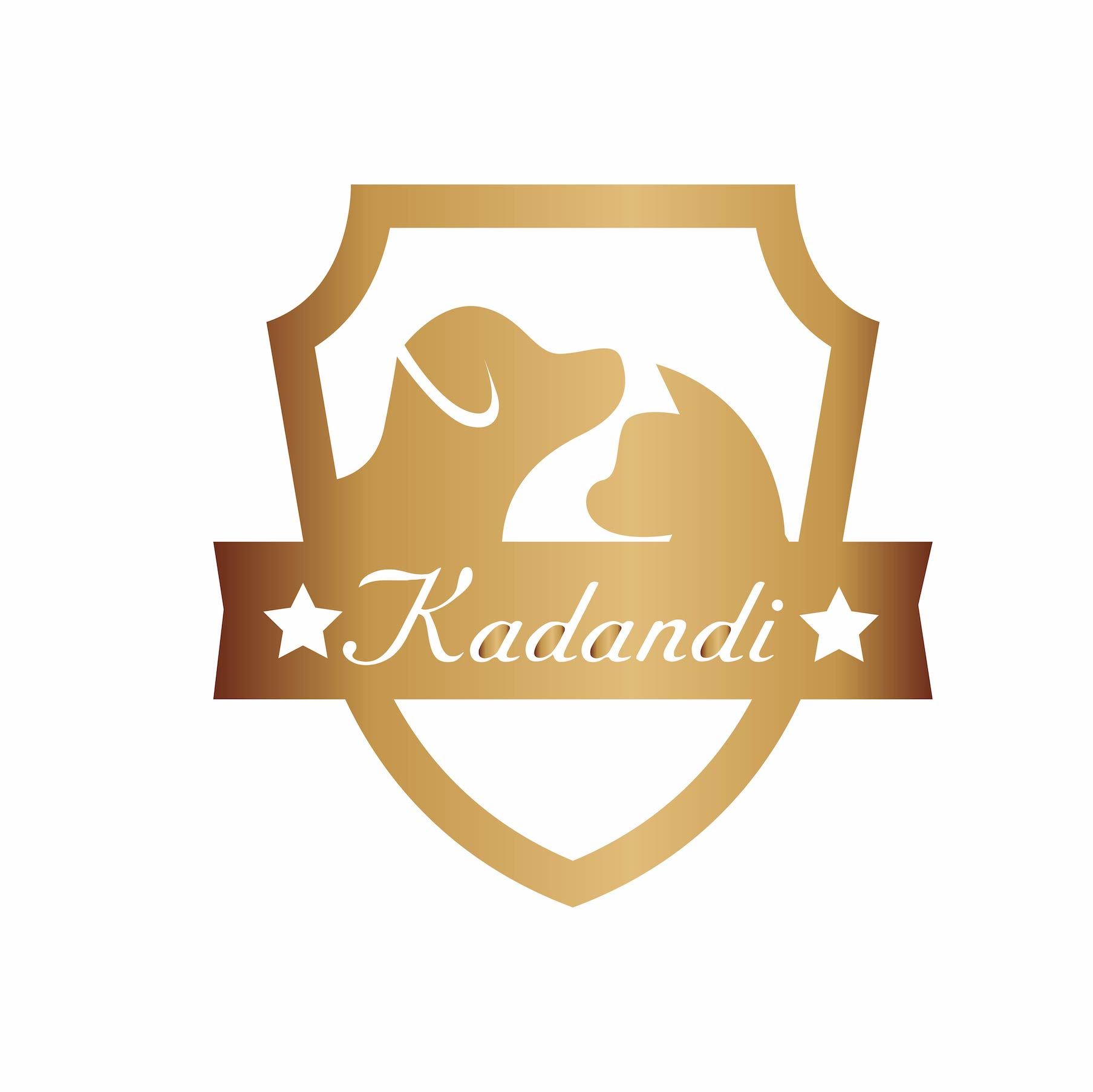 Shenzhen Kadandi Technology Co., Ltd. Logo