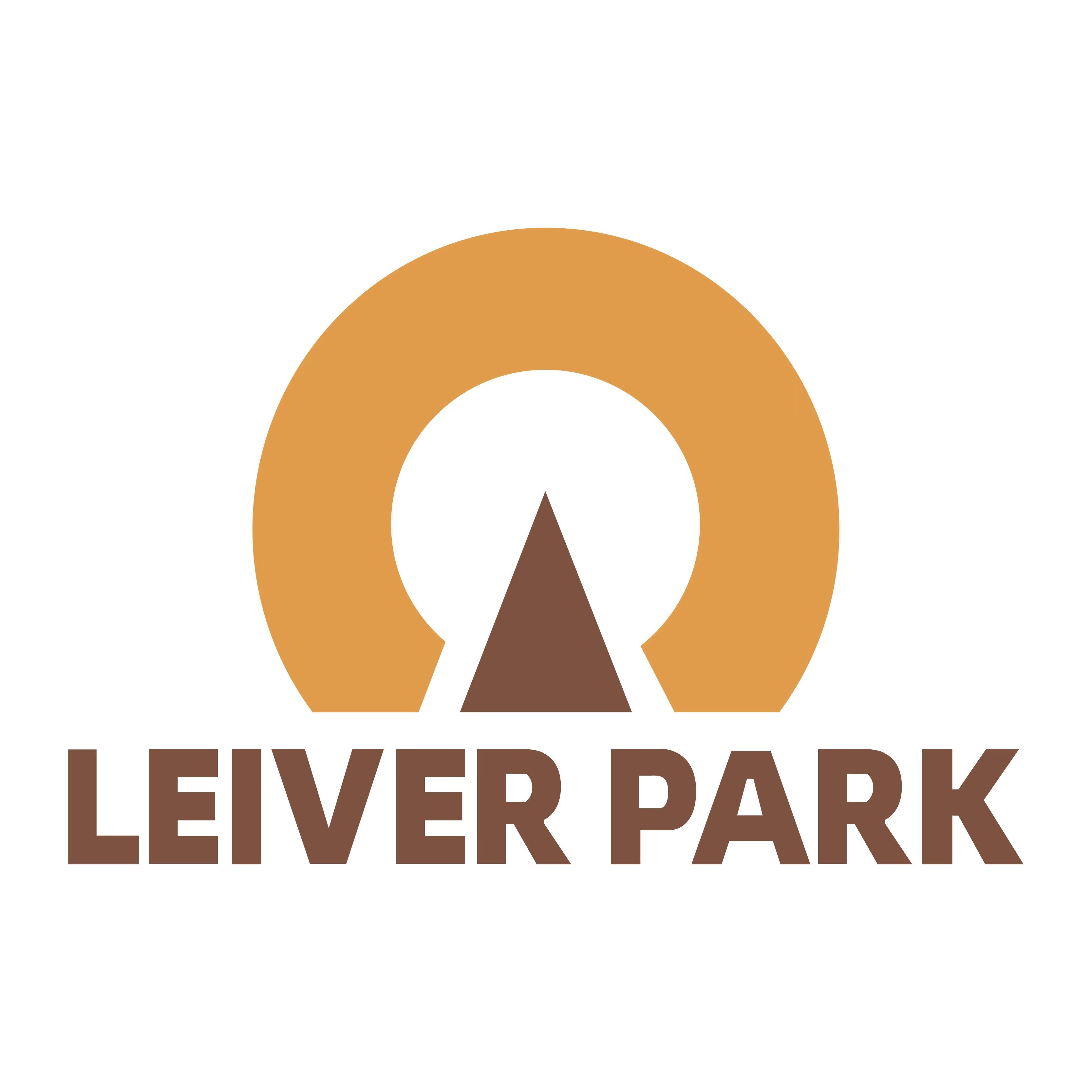 Zhejiang Leiver Amusement Equipment  Co., Ltd. Logo