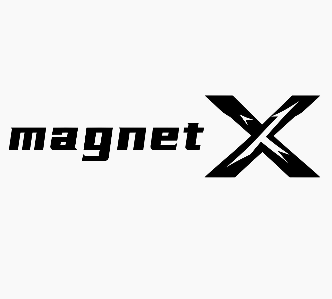 Dongyang Zhongxiang Magnetic Industry Co., Ltd. Logo