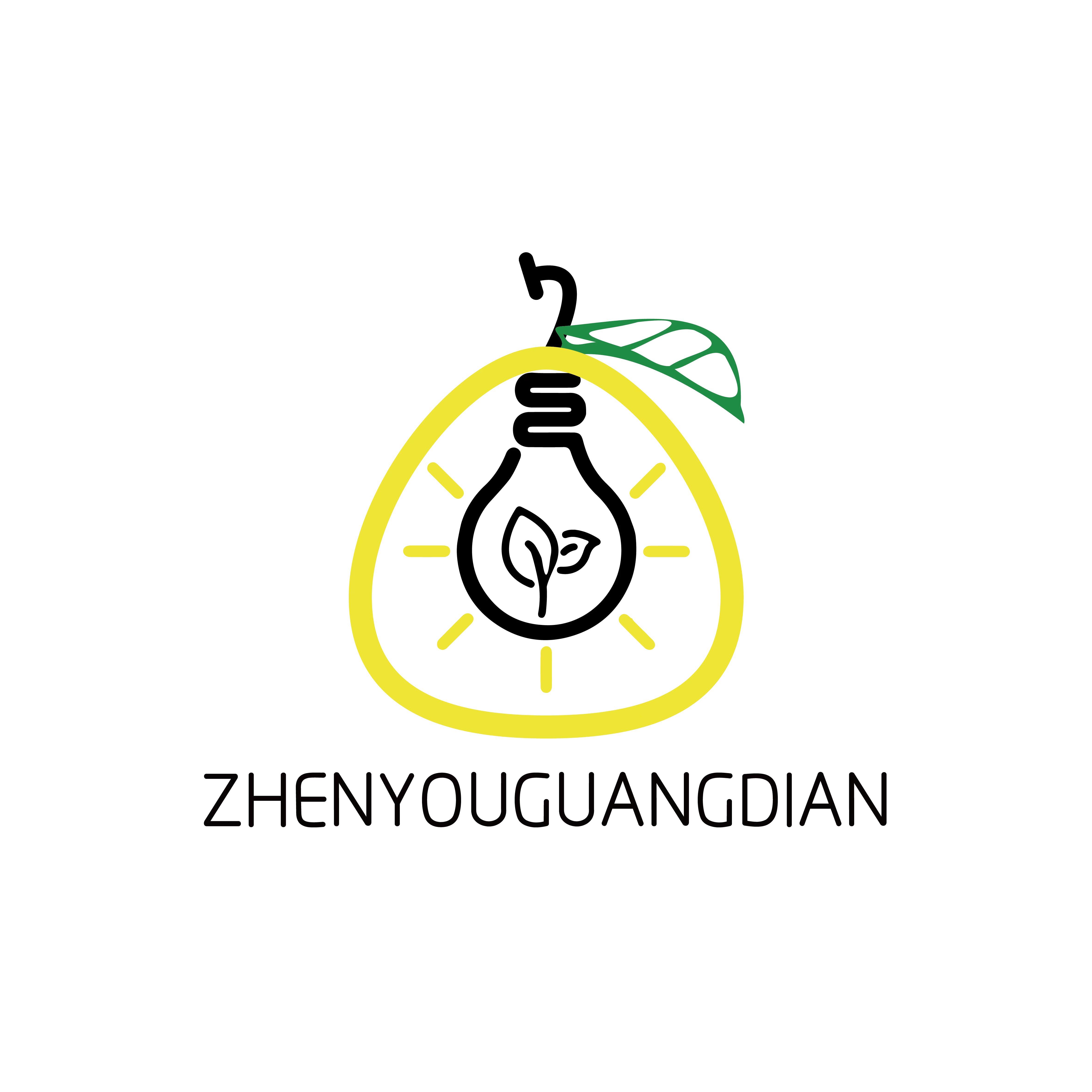 Zhongshan Zhengyou Photoelectric Technology Co., Ltd. Logo