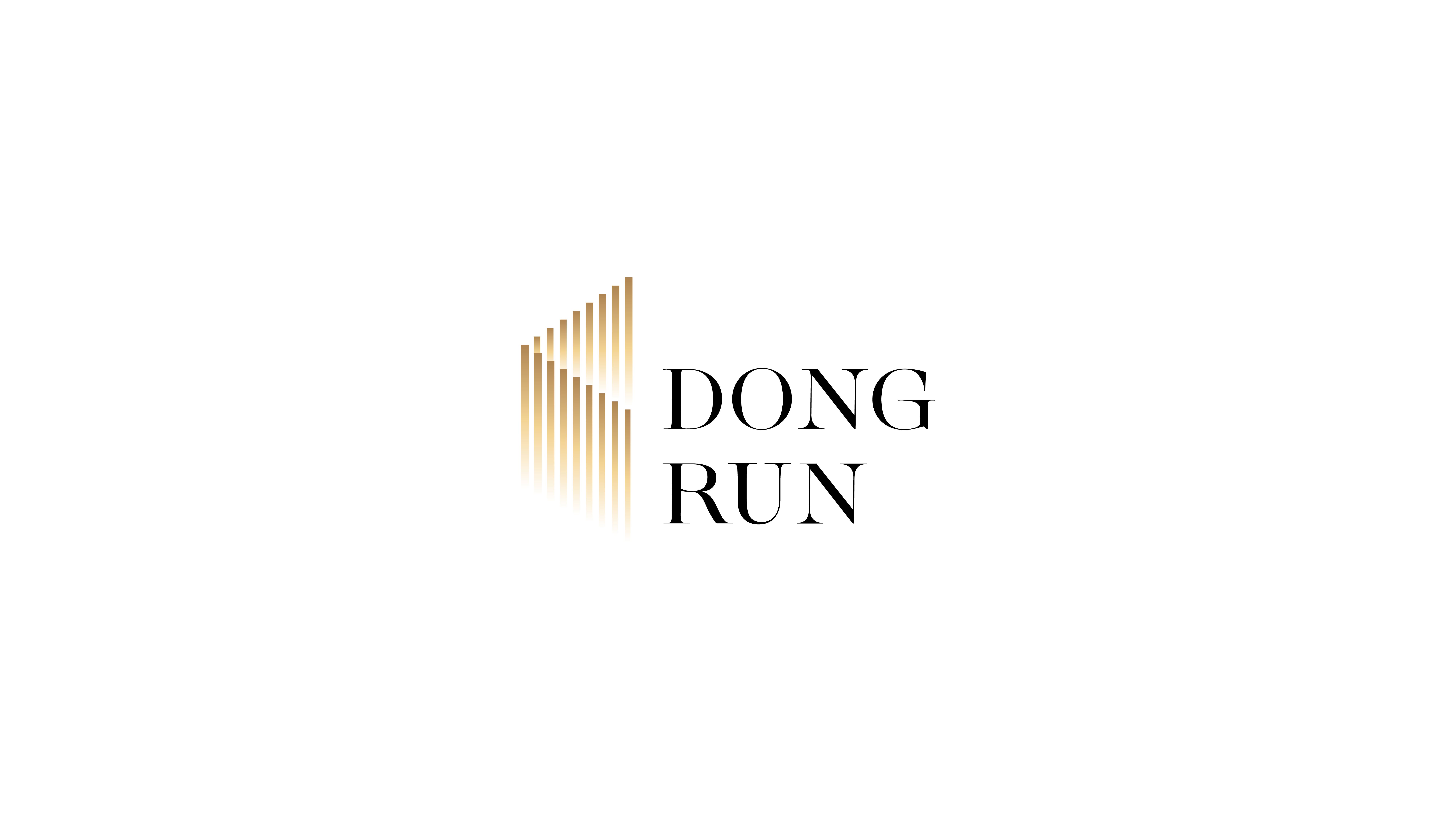 Hangzhou Dongrun Import And Export Co., Ltd. Logo