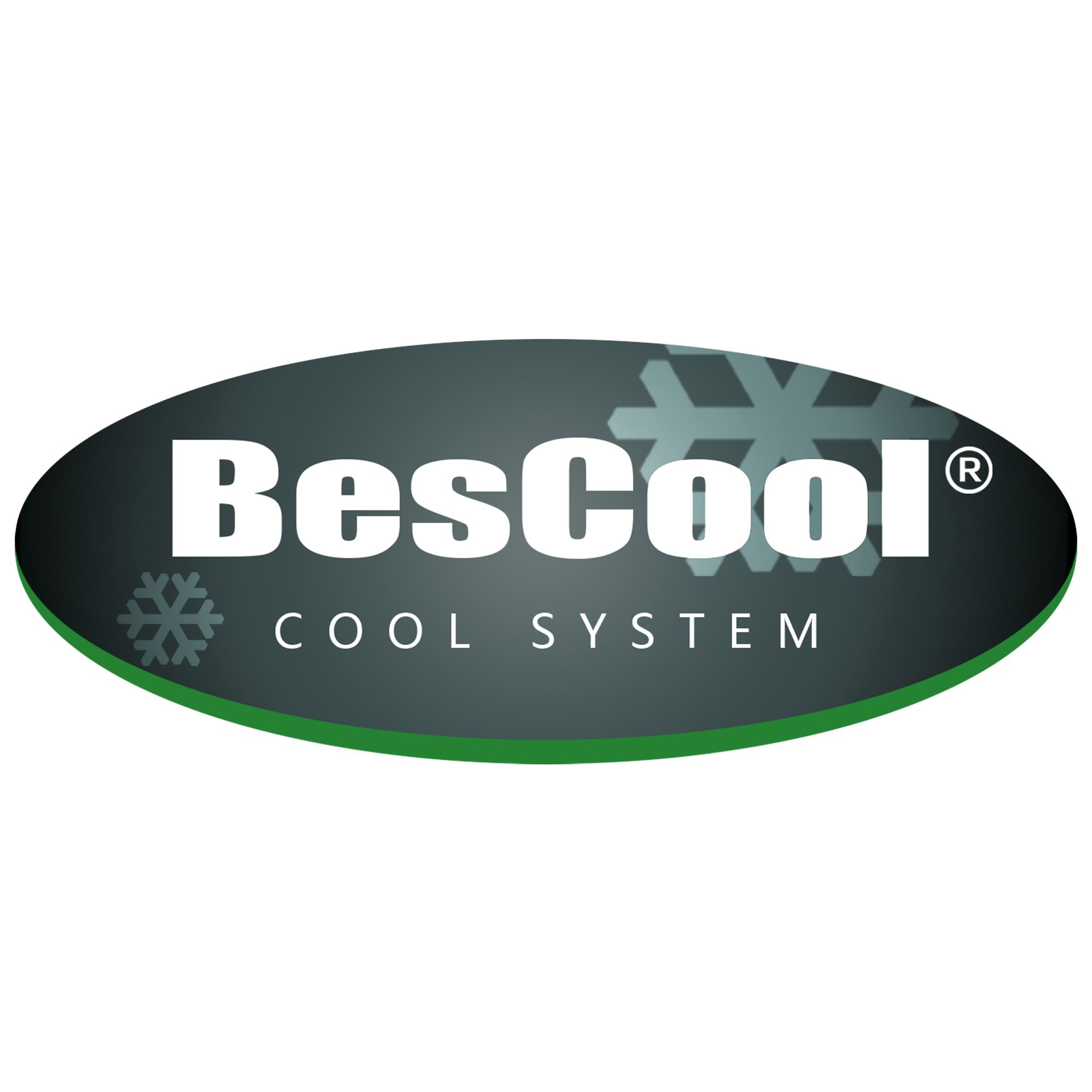 Foshan Bescool Refrigeration Equipment Co., Ltd. Logo