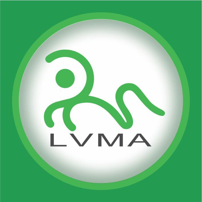 Zhejiang Lvma Import and Export Co., Ltd. Logo