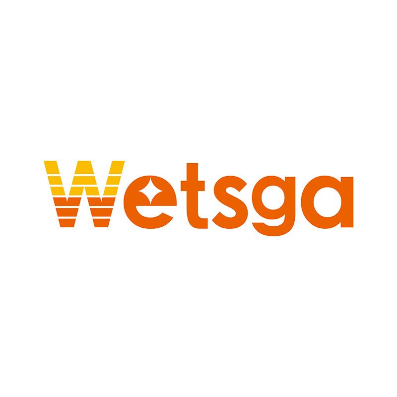 Guangzhou Weisjia Smart Home Co., Ltd. Logo