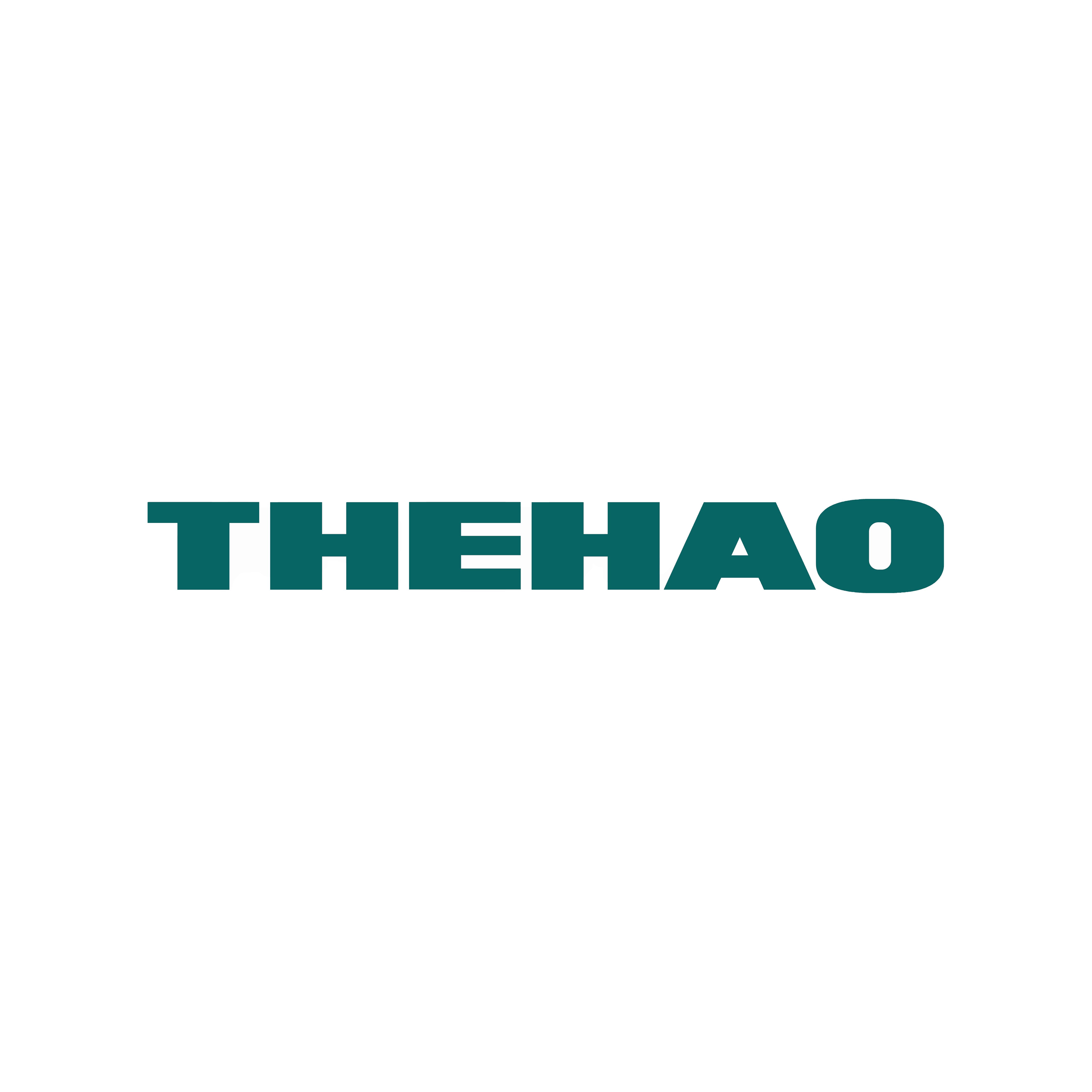 THEHAO Power Technology of Shanghai Co., Ltd. Logo
